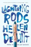 Lightning Rods by Helen DeWitt