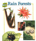 Rain Forests First Starts