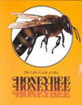 Honeybee Life Cycles Books