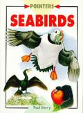 Seabirds
