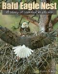 Bald Eagle Nest: A Story of Survival in Photos