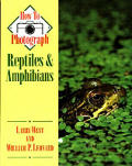 How To Photograph Reptiles & Amphibians