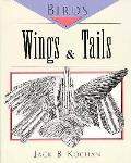 Wings & Tails Birds Series