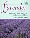 Lavender How to Grow & Use the Fragrant Herb