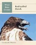 Red Tailed Hawk Wild Bird Guide