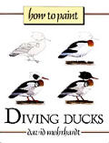 How To Paint Diving Ducks