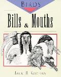 Birds Bills & Mouths