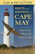 Birds and Birding at Cape May: What to See and When and Where to Go