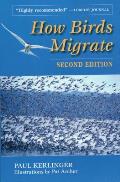 How Birds Migrate