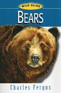 Bears: Wild Guide