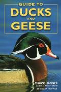 Guide To Ducks & Geese