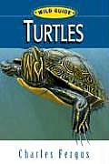 Turtles: Wild Guide