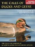 Calls Of Ducks & Geese