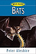 Wild Guide Bats
