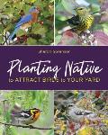 Planting Native to Attract Birds to Your Yard