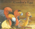 Condors Egg