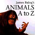 Animals A To Z