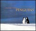 Mitsuaki Iwagos Penguins