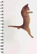 Dancing With Cats Journal