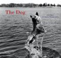Dog 100 Years Of Classic Photography