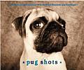 Pug Shots Deluxe Notecards With Envelopes