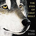 Eyes Of Grey Wolf