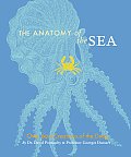 Anatomy of the Sea Over 600 Creatures of the Deep