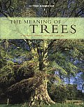 Meaning of Trees Botany History Healing Love