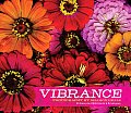 Vibrance 20 Assorted Notecards & Envelopes With Envelopes