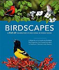 Birdscapes A Pop Up Celebration of Bird Songs in Stereo Sound With Sound Board with Bird Songs