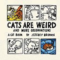 Cats Are Weird & More Observations