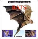 Fascinating World Of Bats