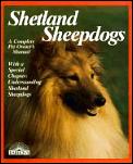 Shetland Sheepdogs Everything About Purc