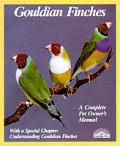 Gouldian Finches Everything About Purcha