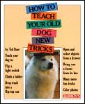 How to Teach Your Old Dog New Tricks