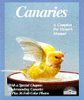 Canaries How To Take Care Of Them & Unde