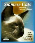 Siamese Cats Everything About Acquisit