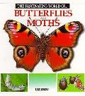 Fascinating World Of Butterflies & Moths