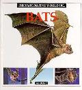 fascinating World of Bats