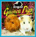 Guinea Pigs First Pets