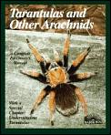 Tarantulas & Other Arachnids Everything