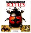 Fascinating World Of Beetles