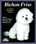Bichon Frise Everything About Purchase C