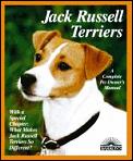 Jack Russell Terriers Everything About P