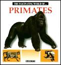 Fascinating World Of Primates