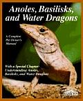 Anoles Basilisks & Water Dragons