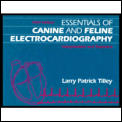 Essentials Of Canine & Feline Electrocar