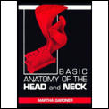 Basic Anatomy Of The Head & Neck
