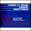 Canine and Feline Cardiac Arrhythmias: Self Assessment