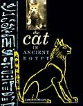 Cat In Ancient Egypt